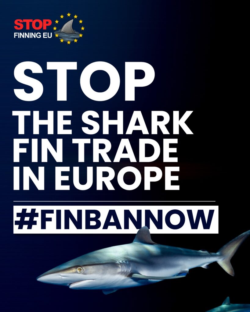 Is shark finning illegal in Europe?